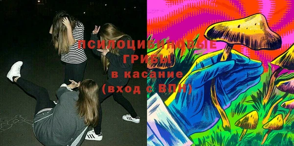 сатива Абинск