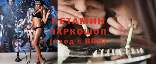 сатива Абинск